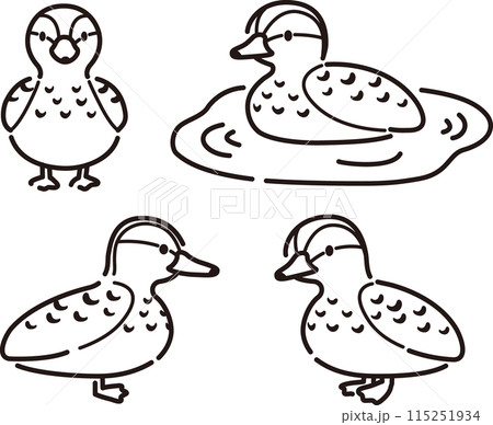 シンプルでかわいい鴨のイラストセット(メス) シンプルでかわいい鴨のイラストセット(メス) 115251934