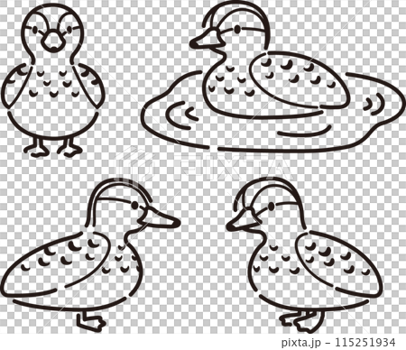 シンプルでかわいい鴨のイラストセット(メス) シンプルでかわいい鴨のイラストセット(メス) 115251934