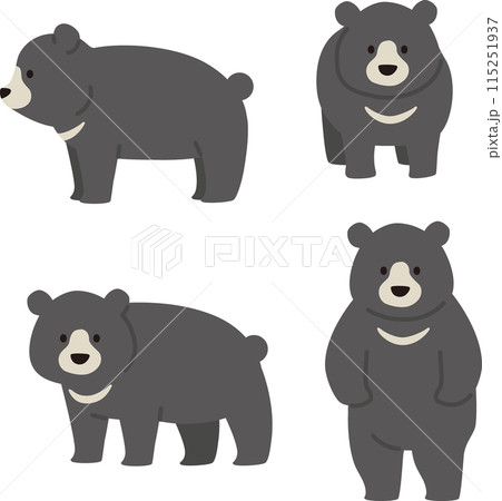 シンプルでかわいい熊のイラストセット 115251937