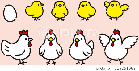 シンプルでかわいい鶏とひよこのイラストセットのイラスト素材