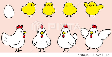 シンプルでかわいい鶏とひよこのイラストセット 115251972