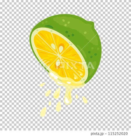 Green lemon dripping with juice Green lemon dripping with juice 115252020