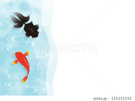 赤と黒の金魚が泳いでいる水面のイラスト(横位置左側) 赤と黒の金魚が泳いでいる水面のイラスト(横位置左側) 115252152