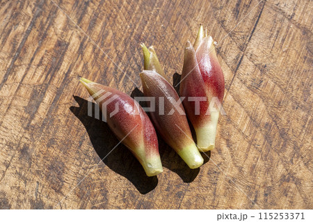 ミョウガ 115253371