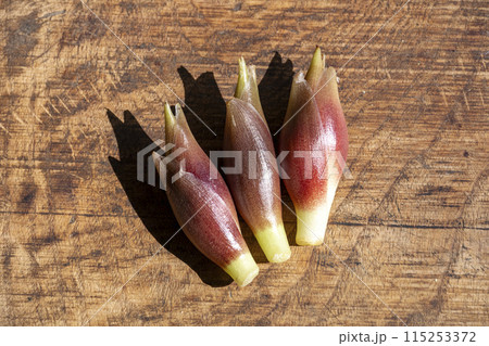 ミョウガ 115253372