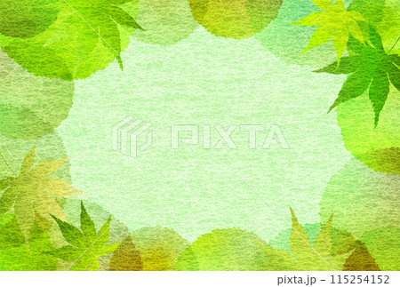 新緑　もみじ　葉　背景 115254152