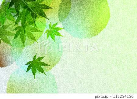 新緑 もみじ 葉 背景 新緑 もみじ 葉 背景 115254156