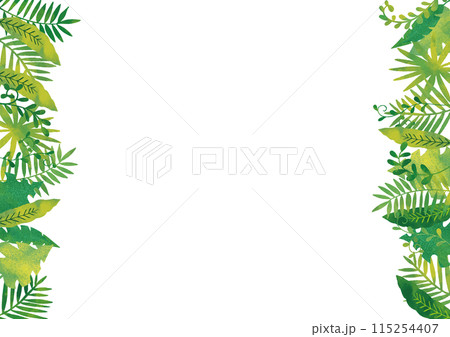 水彩風　ジャングルフレーム5 115254407