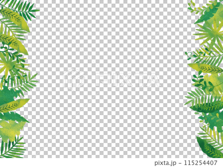 水彩風　ジャングルフレーム5 115254407