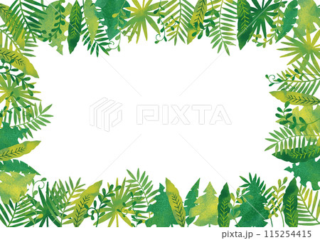 水彩風　ジャングルフレーム2 115254415
