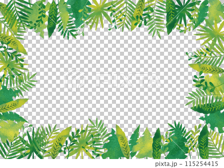 水彩風　ジャングルフレーム2 115254415