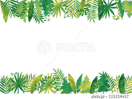 水彩風　ジャングルフレーム1 115254417