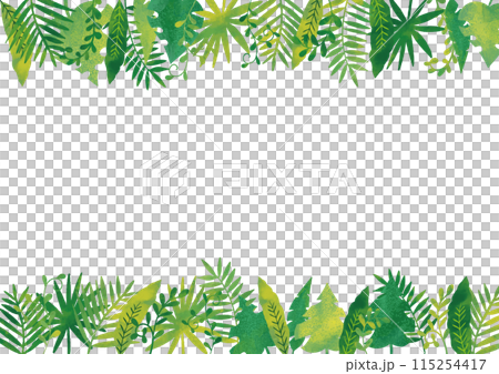 水彩風　ジャングルフレーム1 115254417