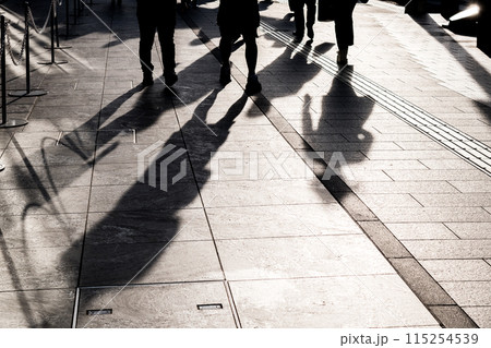 都会の歩道を行き交う人々の影を見る足元 都会の歩道を行き交う人々の影を見る足元 115254539