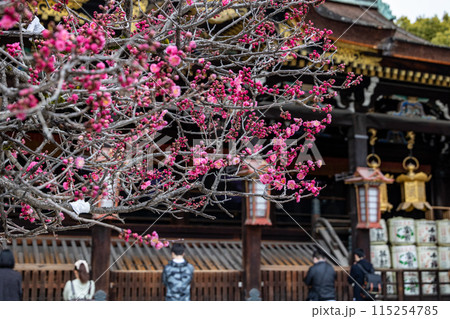 早春の北野天満宮 115254785