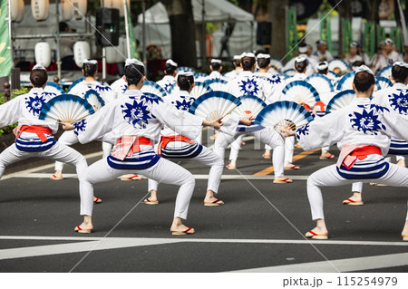 仙台青葉まつり すずめ踊り大流し 仙台青葉まつり すずめ踊り大流し 115254979