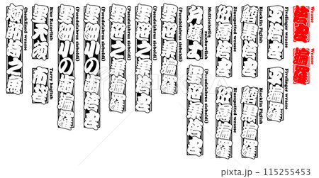 倍良 べら シール ラベル 英語 115255453