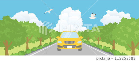 夏の並木道を走る車　夏のドライブの風景 115255585