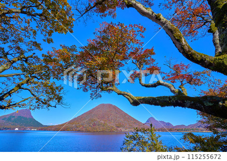 群馬県の榛名湖南岸から紅葉した木々越しに北東側(榛名富士,烏帽子ヶ岳,相馬山)を見る 115255672