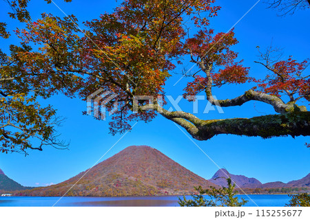 群馬県の榛名湖南岸から紅葉した木々越しに北東側(榛名富士,相馬山)を見る 115255677