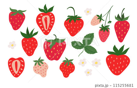 Hand drawn set of strawberries. Berries, flowers and leaves of strawberries. Hand drawn set of strawberries. Berries, flowers and leaves of strawberries. 115255681