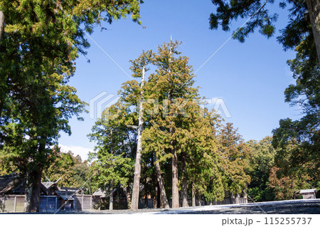 伊勢神宮 内宮と古殿地 伊勢神宮 内宮と古殿地 115255737