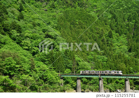 新緑の山をバックに橋梁を渡る普通列車 115255781