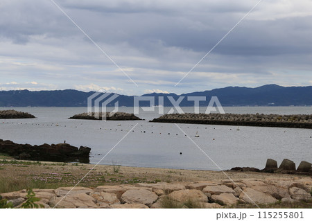海岸通りから見える淡路島 115255801