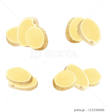 Chopped ginger root slices watercolor illustration set isolated on white background for spicy healthy organic products. Traditional medicine ingredient for immunity and hot drinks Chopped ginger root slices watercolor illustration set isolated on white background for spicy healthy organic products. Traditional medicine ingredient for immunity and hot drinks 115256000