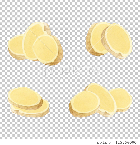 Chopped ginger root slices watercolor illustration set isolated on white background for spicy healthy organic products. Traditional medicine ingredient for immunity and hot drinks Chopped ginger root slices watercolor illustration set isolated on white background for spicy healthy organic products. Traditional medicine ingredient for immunity and hot drinks 115256000