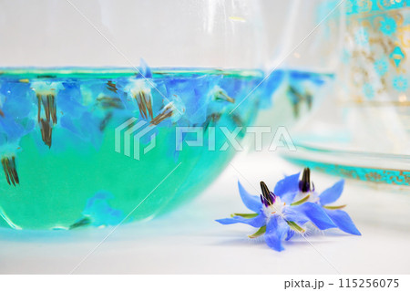 透明なガラスポットに入れられた青いボリジのハーブティと花のアップ、白背景 透明なガラスポットに入れられた青いボリジのハーブティと花のアップ、白背景 115256075