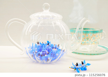 白バックにクリアガラスポットに準備された新鮮なボリジのブルーの可愛い花、フラワーハーブティ 白バックにクリアガラスポットに準備された新鮮なボリジのブルーの可愛い花、フラワーハーブティ 115256076