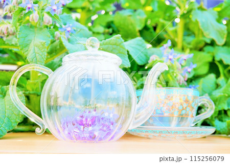 屋外でボリジの葉と花を背景にガラスポットに入った大量のボリジの青花、新鮮なフラワーハーブティの用意 115256079
