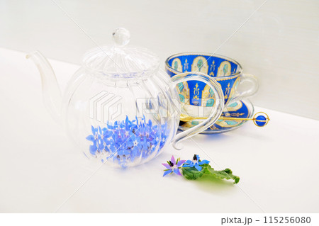 ホワイトバックに透明のガラスポットに入れられた沢山のボリジの青い花、ハーブティの準備 ホワイトバックに透明のガラスポットに入れられた沢山のボリジの青い花、ハーブティの準備 115256080