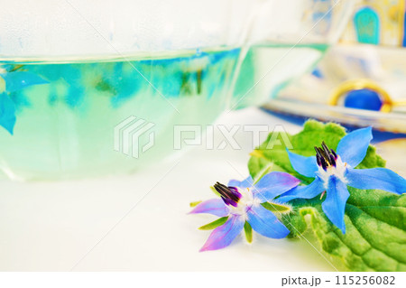 クリアなガラスポットに入れられた新鮮なボリジのブルーのハーブティと花の接写、ホワイトバック クリアなガラスポットに入れられた新鮮なボリジのブルーのハーブティと花の接写、ホワイトバック 115256082