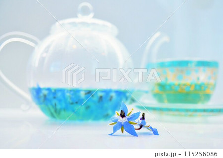 青いボリジの花の色が変わる魔法のハーブティ、白バック 115256086