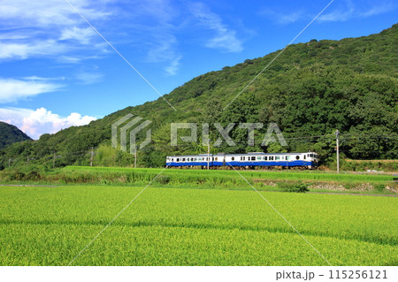 初秋の里山を走る観光列車エトセトラ 115256121