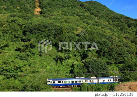 緑豊かな自然の中を走る 観光列車エトセトラ 緑豊かな自然の中を走る 観光列車エトセトラ 115256139