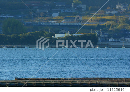 ローカル線のある海辺の風景 115256164