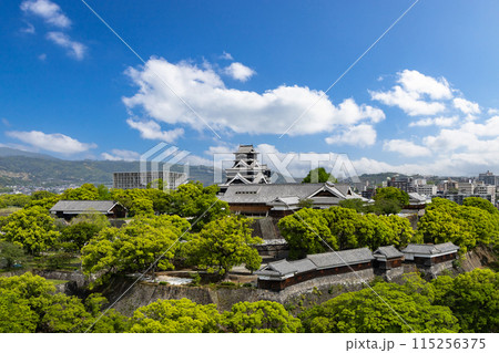 完全復旧した熊本城天守閣と復旧が進む熊本城内 115256375