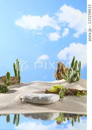 Frontal shot photo on blue sky background with white clouds, the sand side contains an empty white rock podium in front, many type of desert cactus decorated in back. Presentation and copy space 115256613
