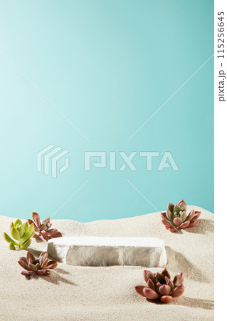 The empty plaster pedestal is placed on the sand, surrounded by a few succulents stone lotus plants, over blue background with gradient effect. Copy space for text and frontal view 115256645