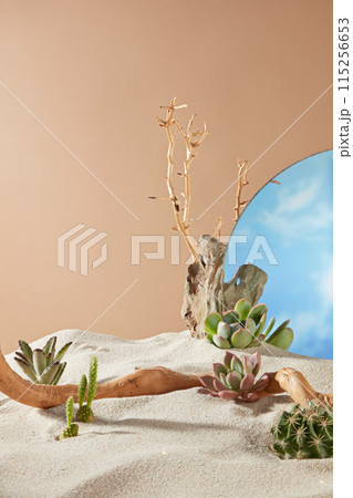 In the middle of the sand there is space to display products, decorated with dry tree branches, succulents and cacti. In the back right corner there is a mirror decoration, brown background In the middle of the sand there is space to display products, decorated with dry tree branches, succulents and cacti. In the back right corner there is a mirror decoration, brown background 115256653