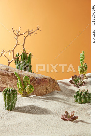 Unique template for promotion with summer desert layout, light yellow sand, yellow sunshine, desert cactus against the orange texture. Vacant space in center for displaying product, front angle Unique template for promotion with summer desert layout, light yellow sand, yellow sunshine, desert cactus against the orange texture. Vacant space in center for displaying product, front angle 115256666