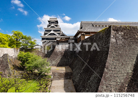 完全復旧した熊本城天守閣と復旧が待たれる本丸御殿 115256748