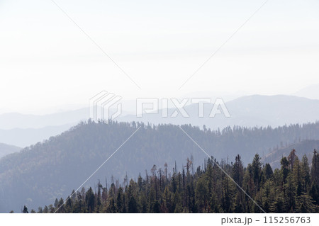 Mountain landscape in Yosemite National Park Mountain landscape in Yosemite National Park 115256763