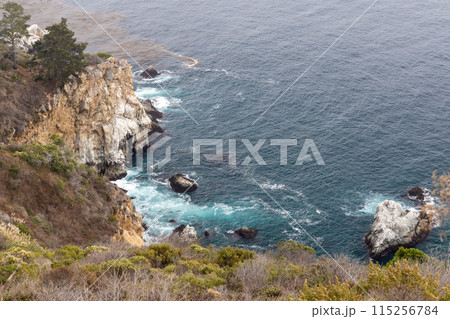 Coastal landscape in California 115256784