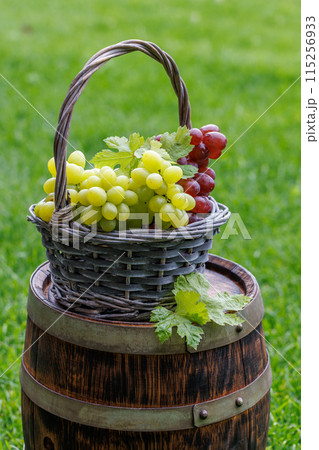 Grape on wine barrel Grape on wine barrel 115256933