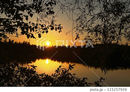 sunset at lake with sun down over tree silhouettes on horizon 115257939