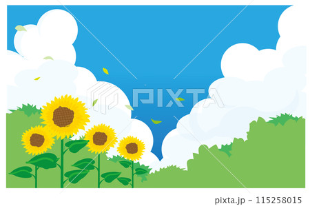 入道雲と夏空のひまわりの背景イラスト素材 入道雲と夏空のひまわりの背景イラスト素材 115258015